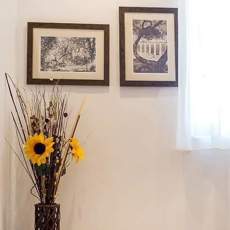 Apartment Rodos House *